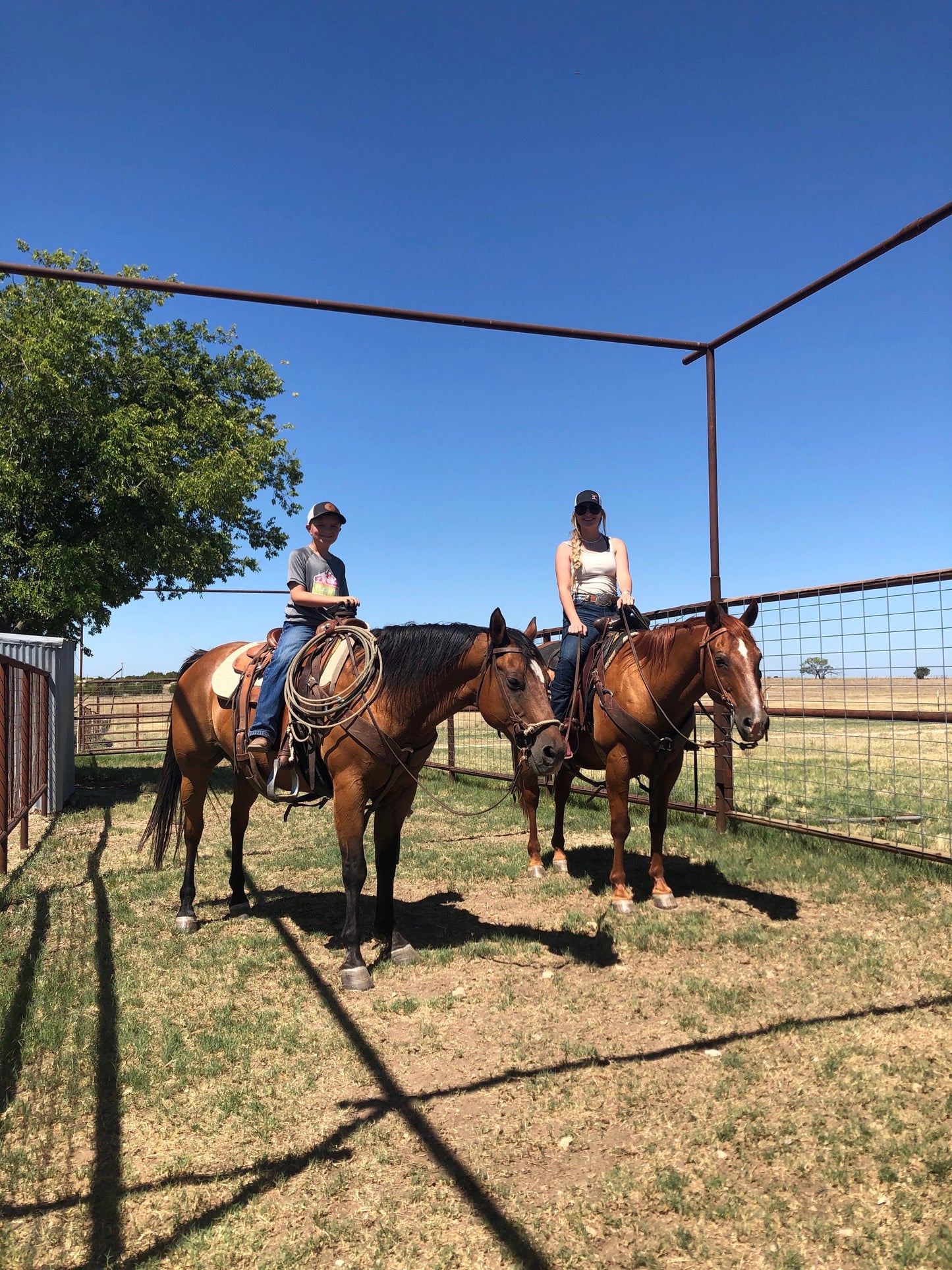 Chapman 3C Cattle Company