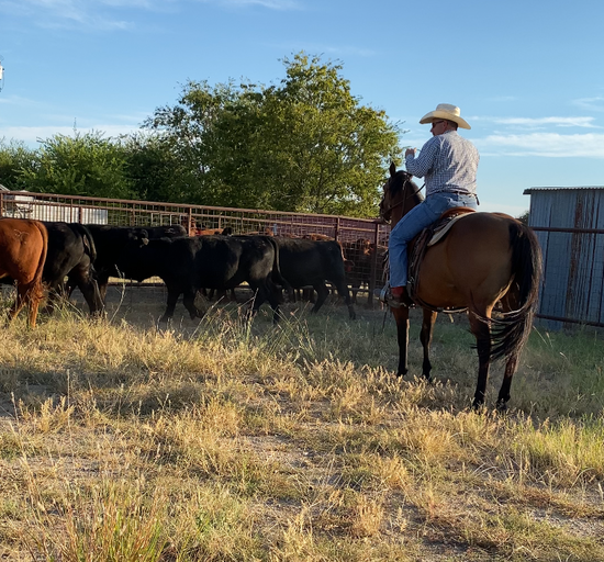 Who We Are – Chapman 3C Cattle Company